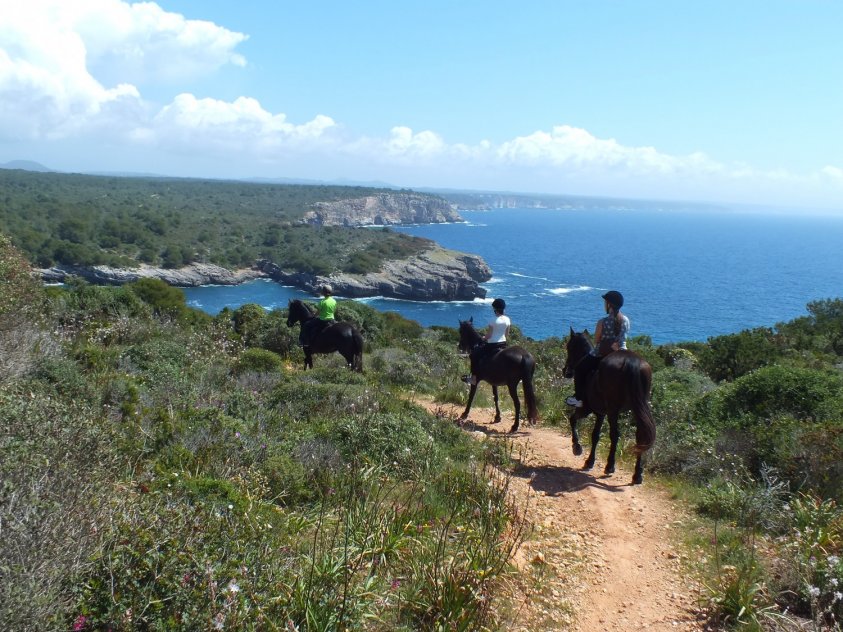 Rutes Eqüestres Camí Cavalls,minorque