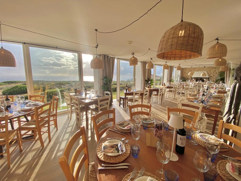 Bambu Menorca,minorque