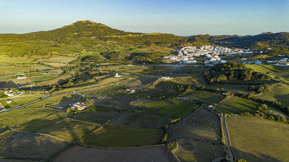 Bodegas Menorquinas,minorque
