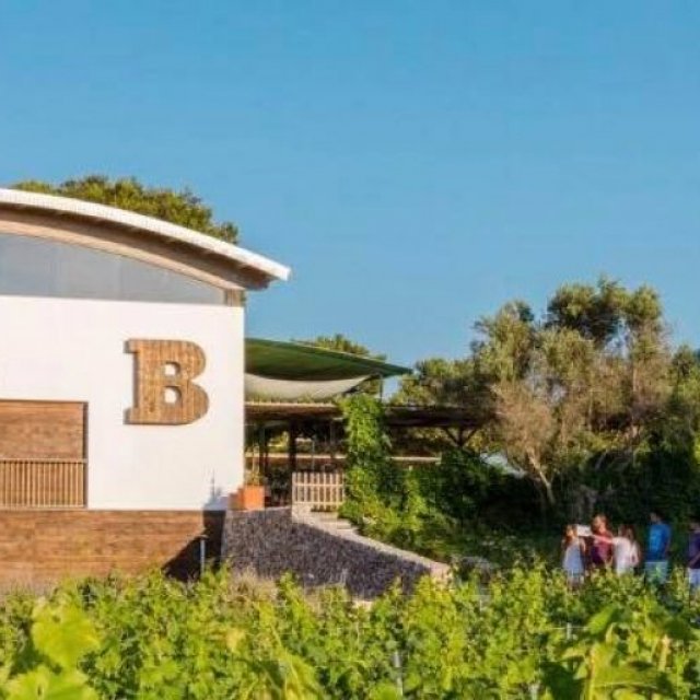 Binifadet - Bodega