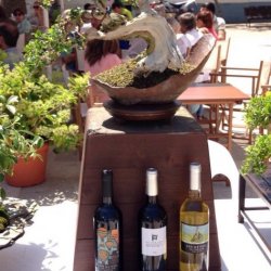 Sa Forana - Bodega