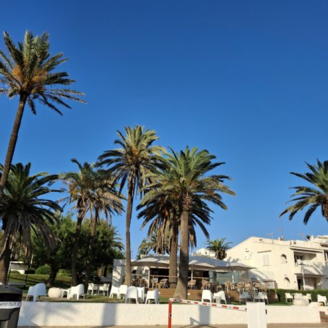 minorque Cafés et Bars