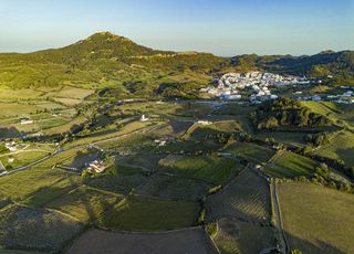 Cave Bodegas Menorquinas