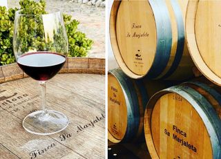 Cave Finca sa Marjaleta