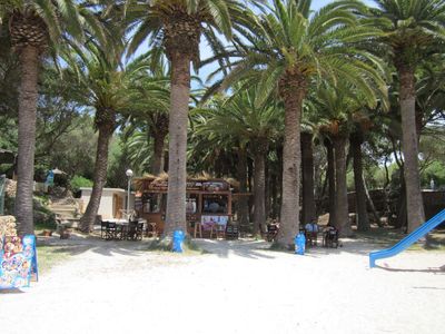 Shaded picnic area at rear of beach-beach bar