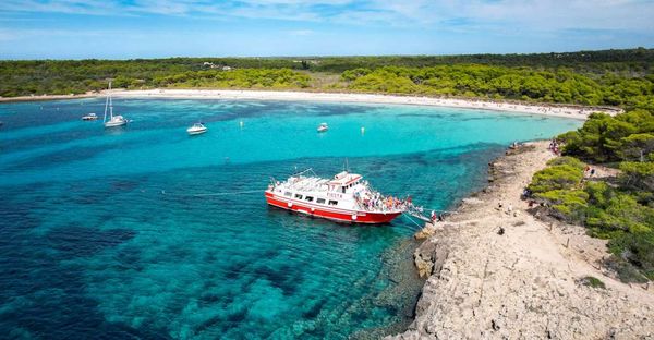 Boat day trips