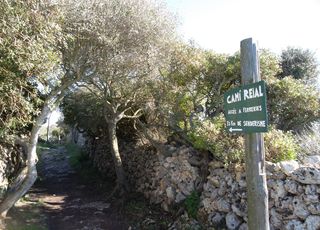 Itinéraires de randonnée à Minorque